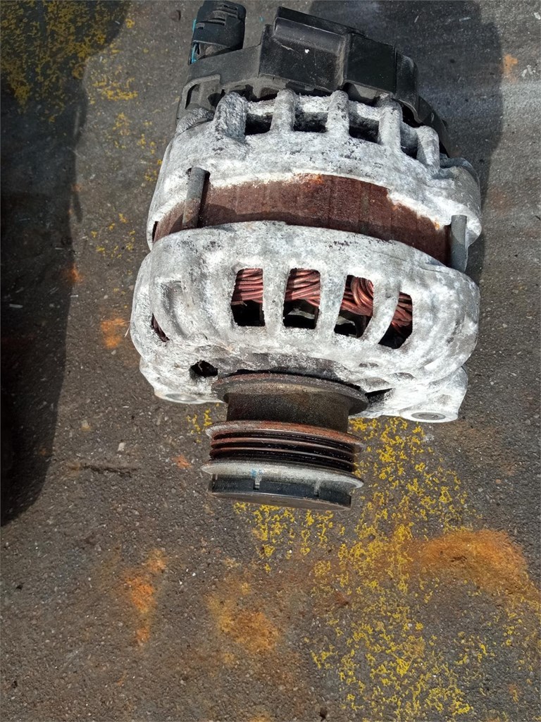 Foto 2 Alternador Bosch Dacia Logan 231008386R
