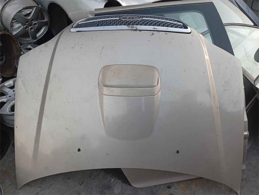 Foto 1 capo kia carnival 