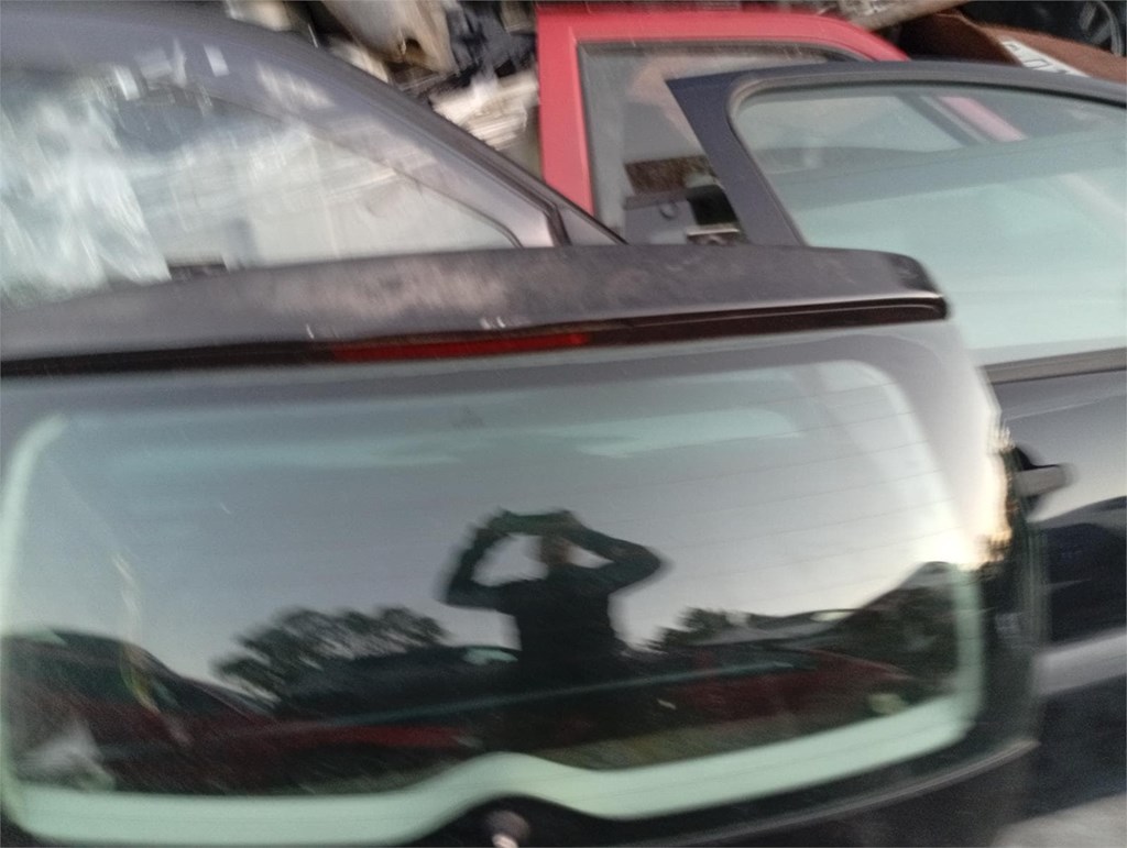 Foto 1 porton trasero citroeen c3