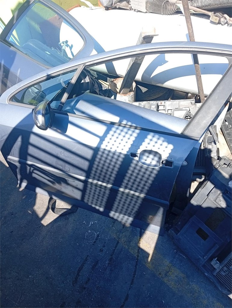 Foto 1 puerta conductor Peugeot 407